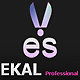 EKAL Beauty Care Instruments