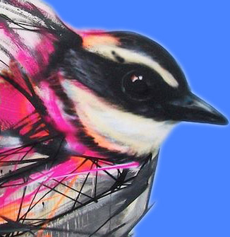 Bird Wings (Pet Store)