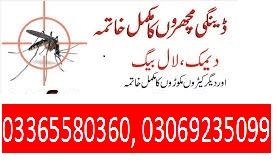 A to Z fumigation pest and termite control services 0336 5580360