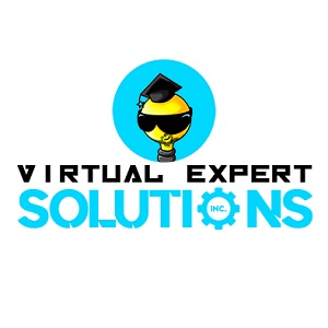 Virtual Expert Solutions Inc.