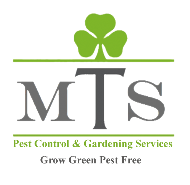 MTS Gardening
