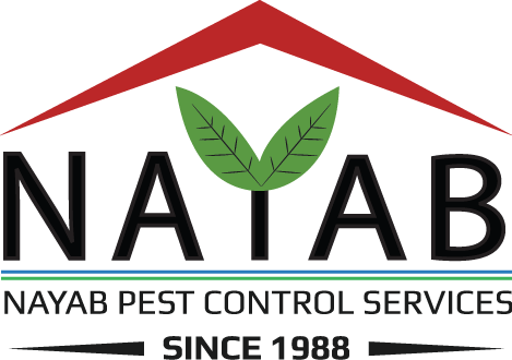 Nayab Pest Control Services