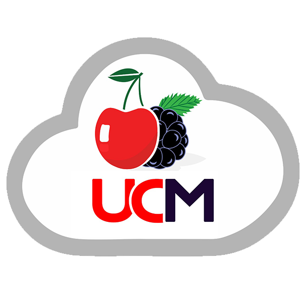 Unified Call Manager in Lahore, Pakistan - Cherry Berry UCM